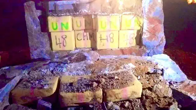 النهار24