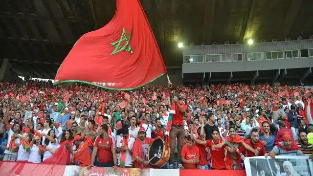 عودة الجماهير إلى الملاعب