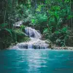 pexels photo 788200