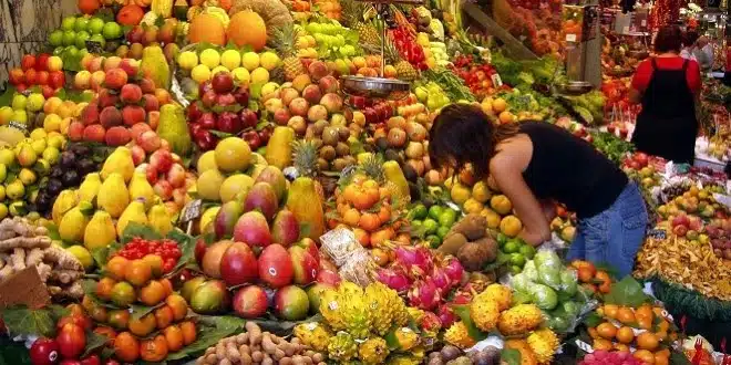 تقرير أمريكي المغرب يرتقي إلى المرتبة الـ15 عالميا ضمن أكبر مصدري الفواكه