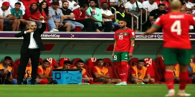 وليد الركراكي نتيجة التعادل أمام كرواتيا إيجابية جدا فيديو