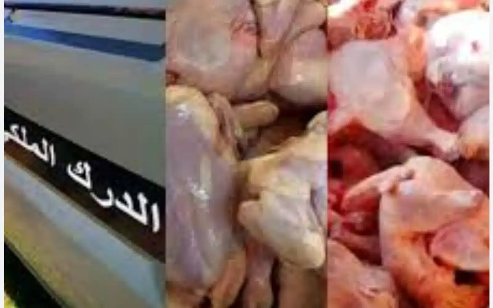 درك أزمور يحجز دجاجا فاسدا كان في طريقه إلى الجديدة
