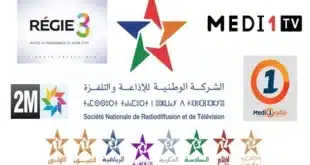 القطب العمومي . الحكامة والتشخيص المالي لكل شركة قبل تجميع الهولدينغ 1 القطب العمومي .. الحكامة والتشخيص المالي لكل شركة قبل تجميع الهولدينغ