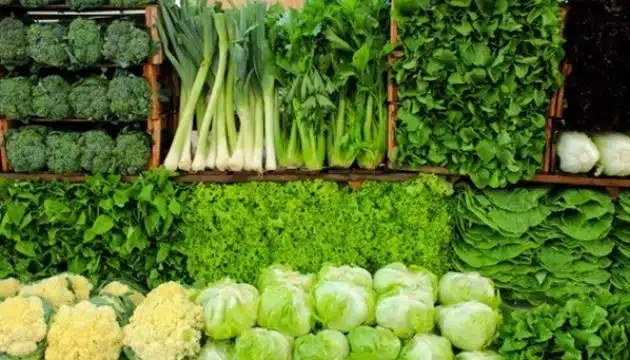 الخضروات الورقية كنز غذائي لدعم الصحة ومكافحة الأمراض المزمنة