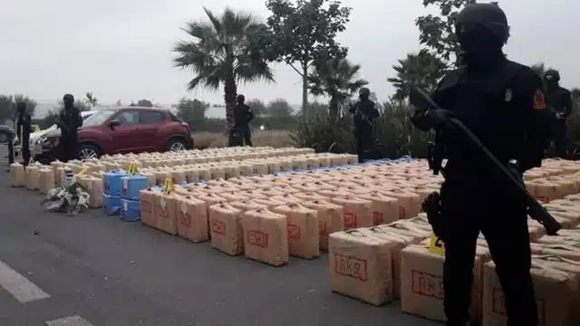 آسفي حجز أكثر من 4 أطنان من الشيرا وإحباط محاولة لتهريبها نحو الخارج