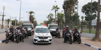 قضية تهريب الحشيش بطائرة.. إيداع حامل بطاقة الصحافة المهنية السجن وسؤال: من هو وسيط البطاقة؟